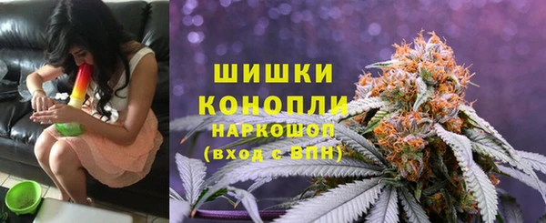 дурь Белокуриха