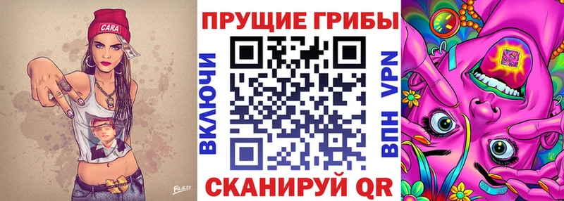 Галлюциногенные грибы Cubensis  Краснокамск 